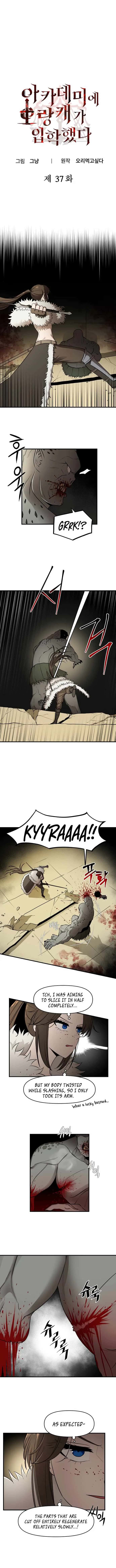 A Barbarian Was Admitted to the Academy Chapter 37 Page 2