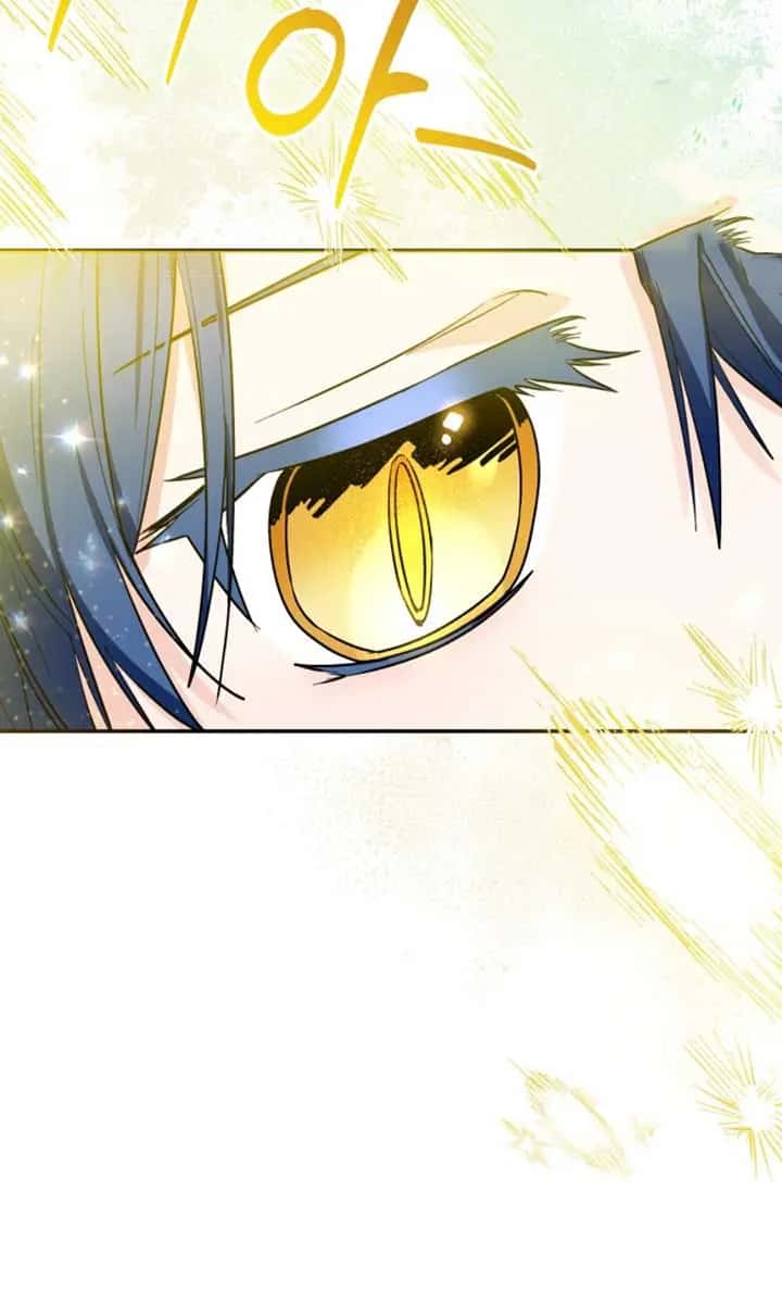 'Cause Calypso Can Chapter 48 Page 104