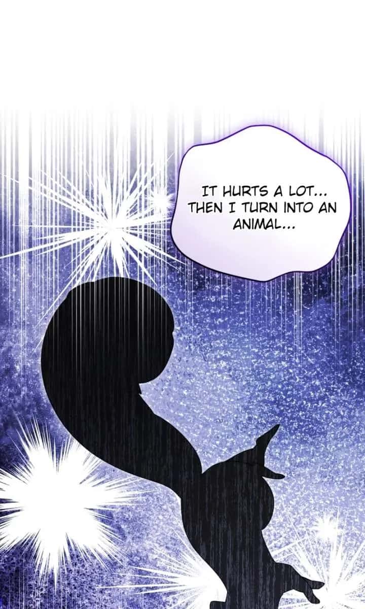 'Cause Calypso Can Chapter 82 Page 71