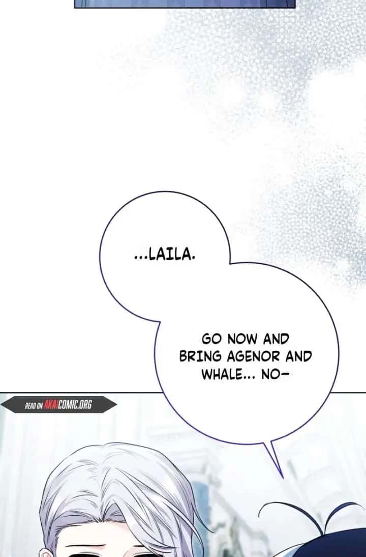 'Cause Calypso Can Chapter 99 Page 43