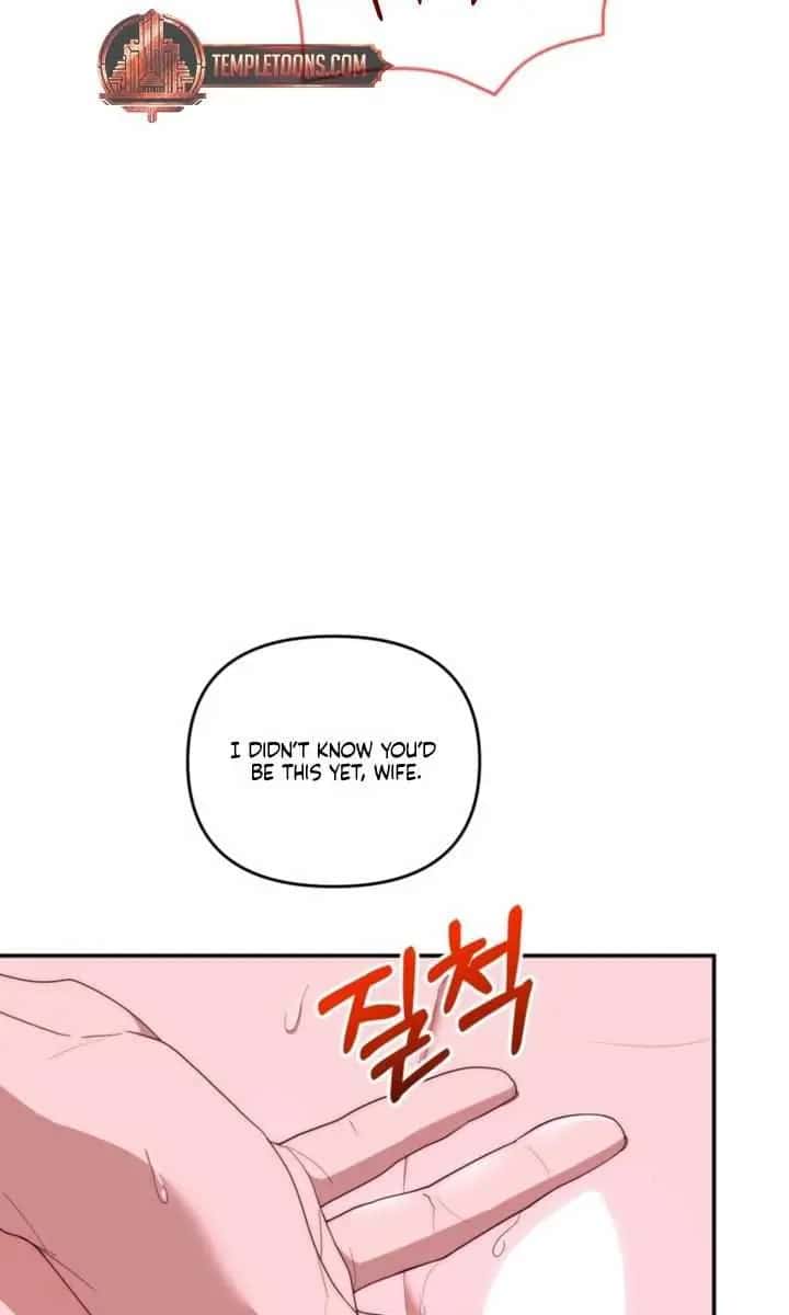 Five Husbands Appeared on My Birthday Chapter 12 Page 66