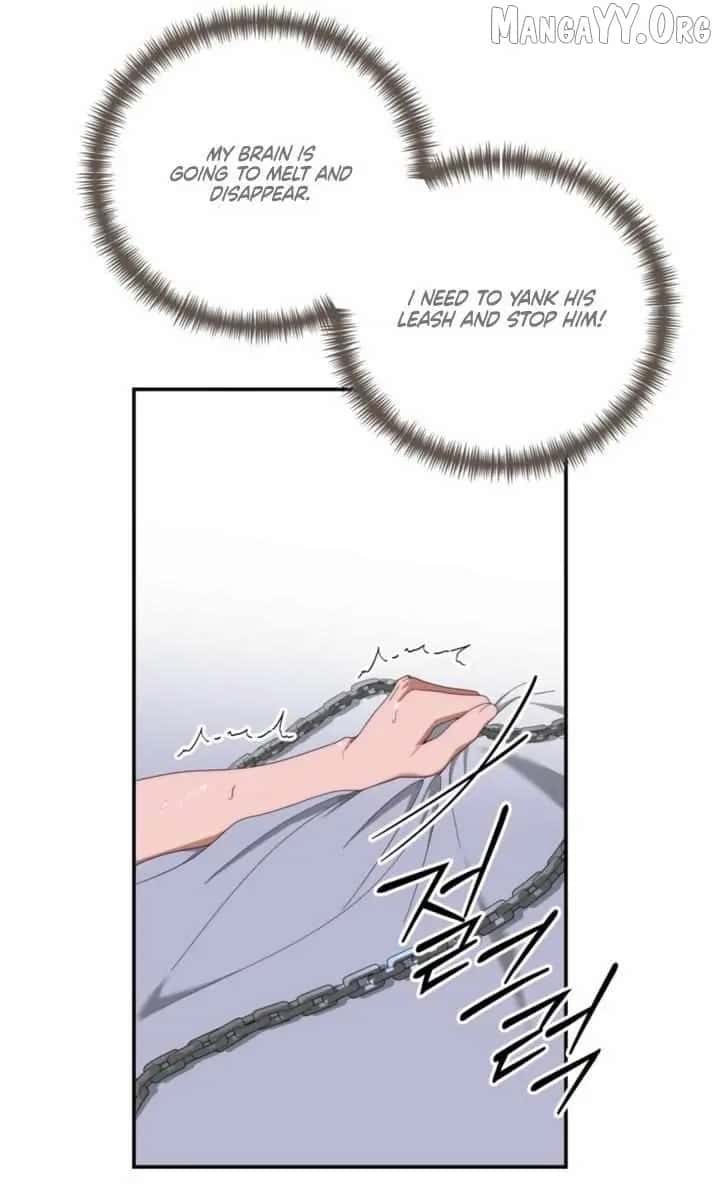 Five Husbands Appeared on My Birthday Chapter 14 Page 11