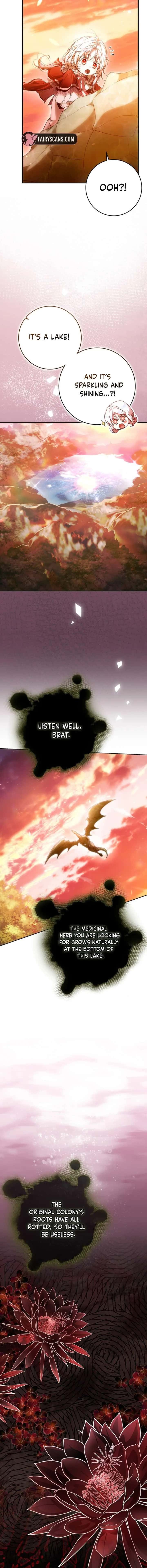 Author of My Own Destiny Chapter 144 Page 12