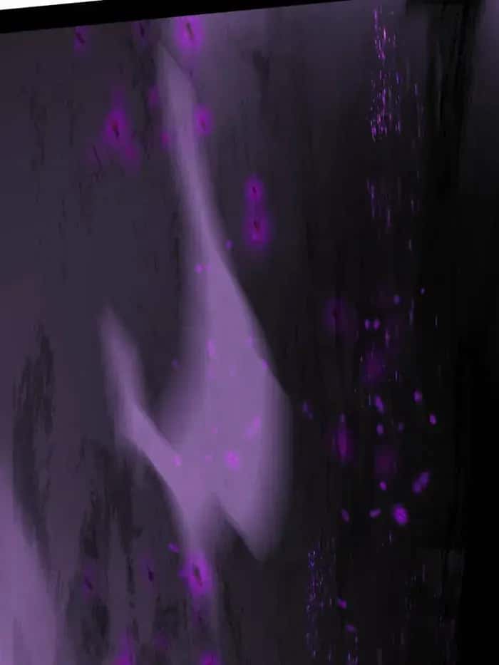 I'm an Evil God Chapter 447 Page 106