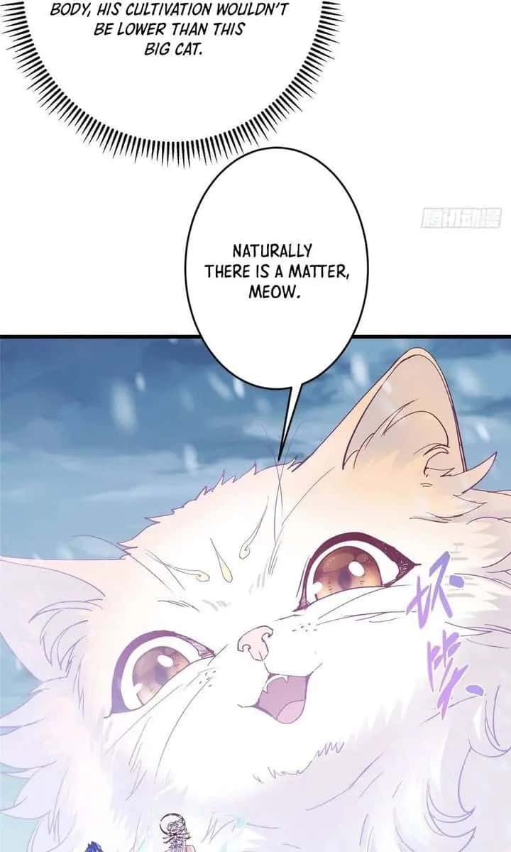 Keep a Low Profile, Sect Leader Chapter 588 Page 49