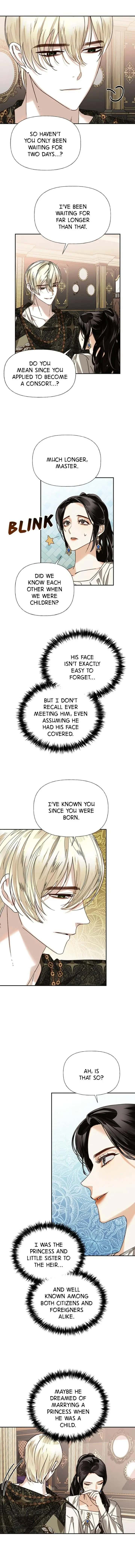 Men of the Harem Chapter 23 Page 7