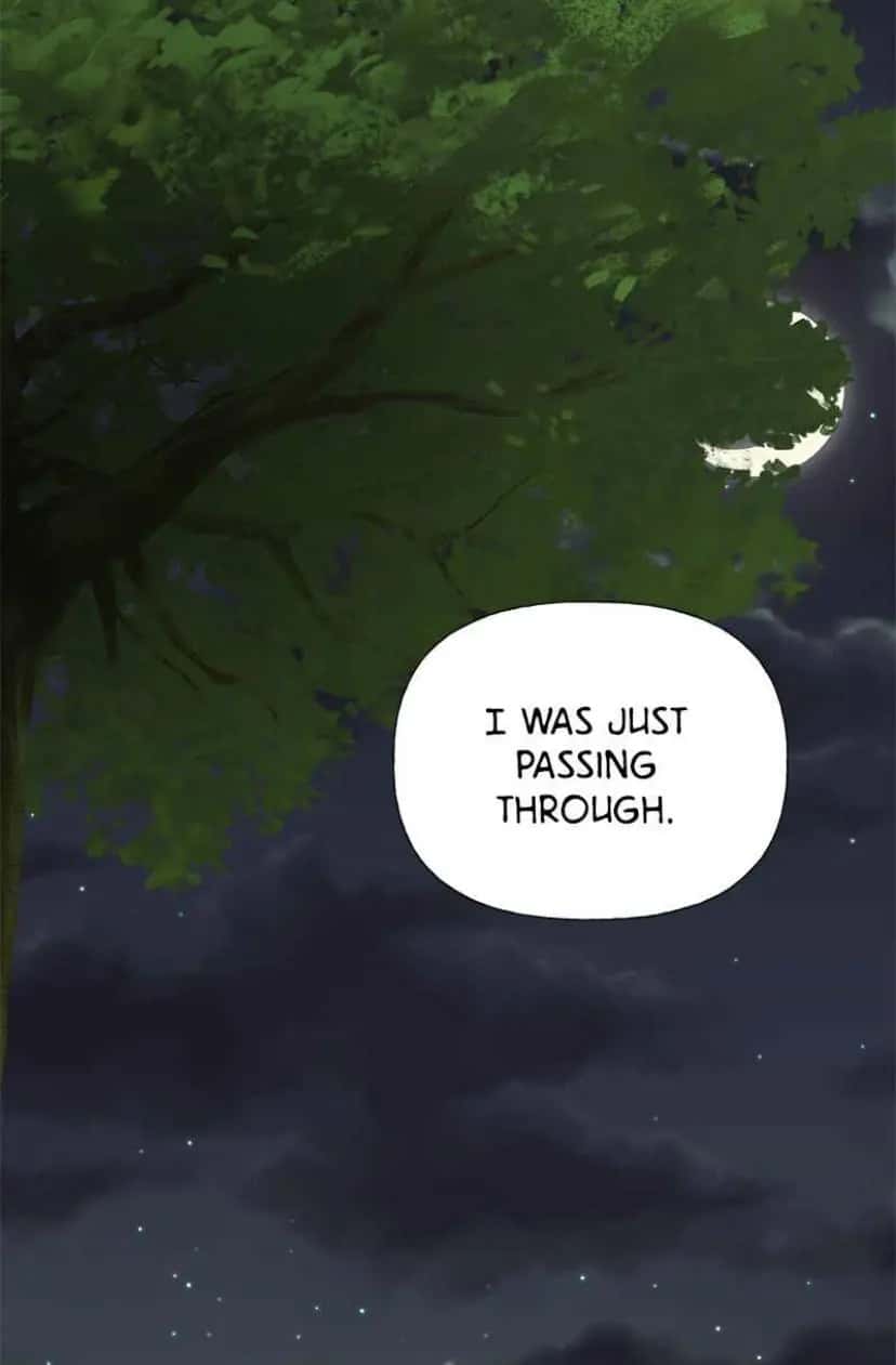 Men of the Harem Chapter 51 Page 12