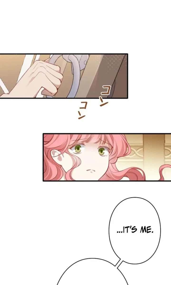 My Contractually Married Husband Wants Me Chapter 25 Page 3