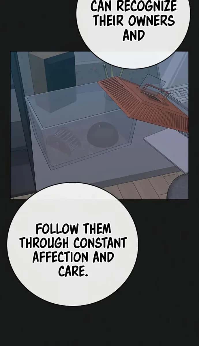 Reality Quest Chapter 84 Page 11