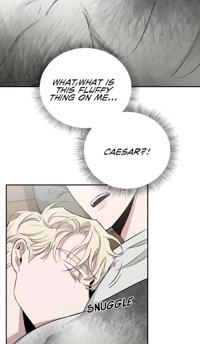 Roses and Champagne Chapter 27 Page 33