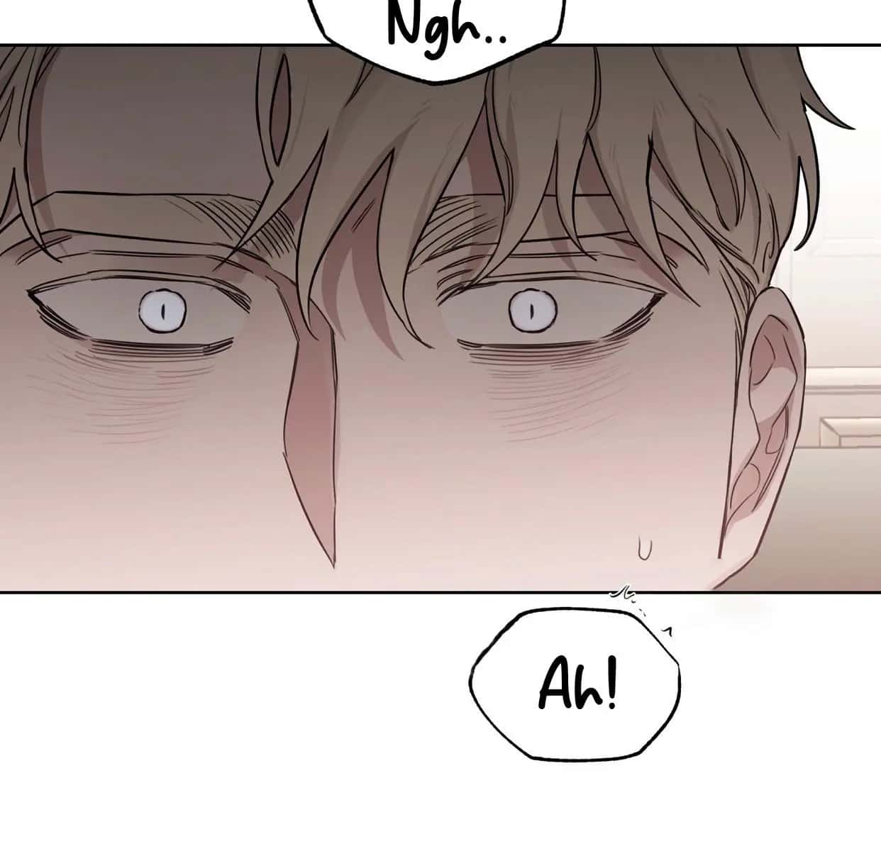 Roses and Champagne Chapter 49 Page 65