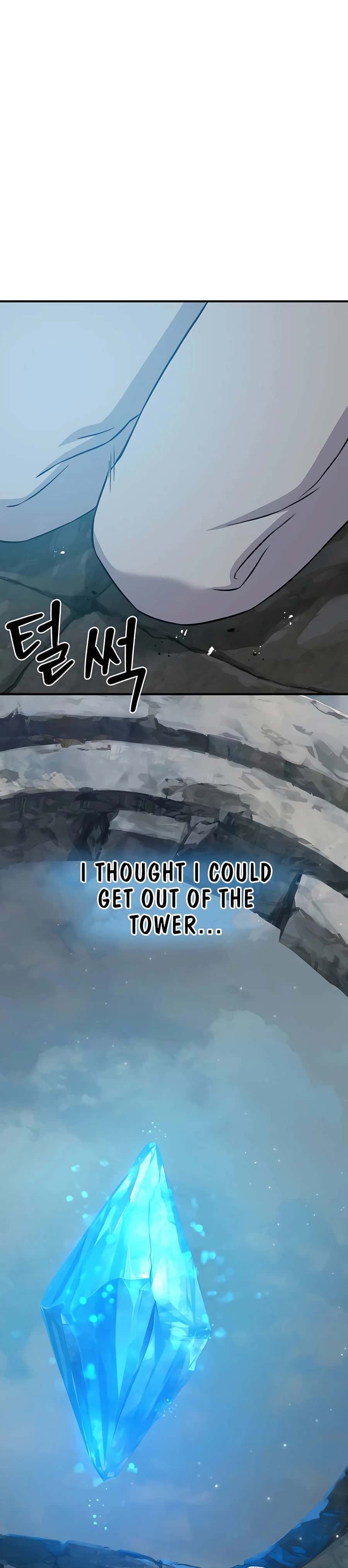 Solo Farming in the Tower Chapter 53 Page 52