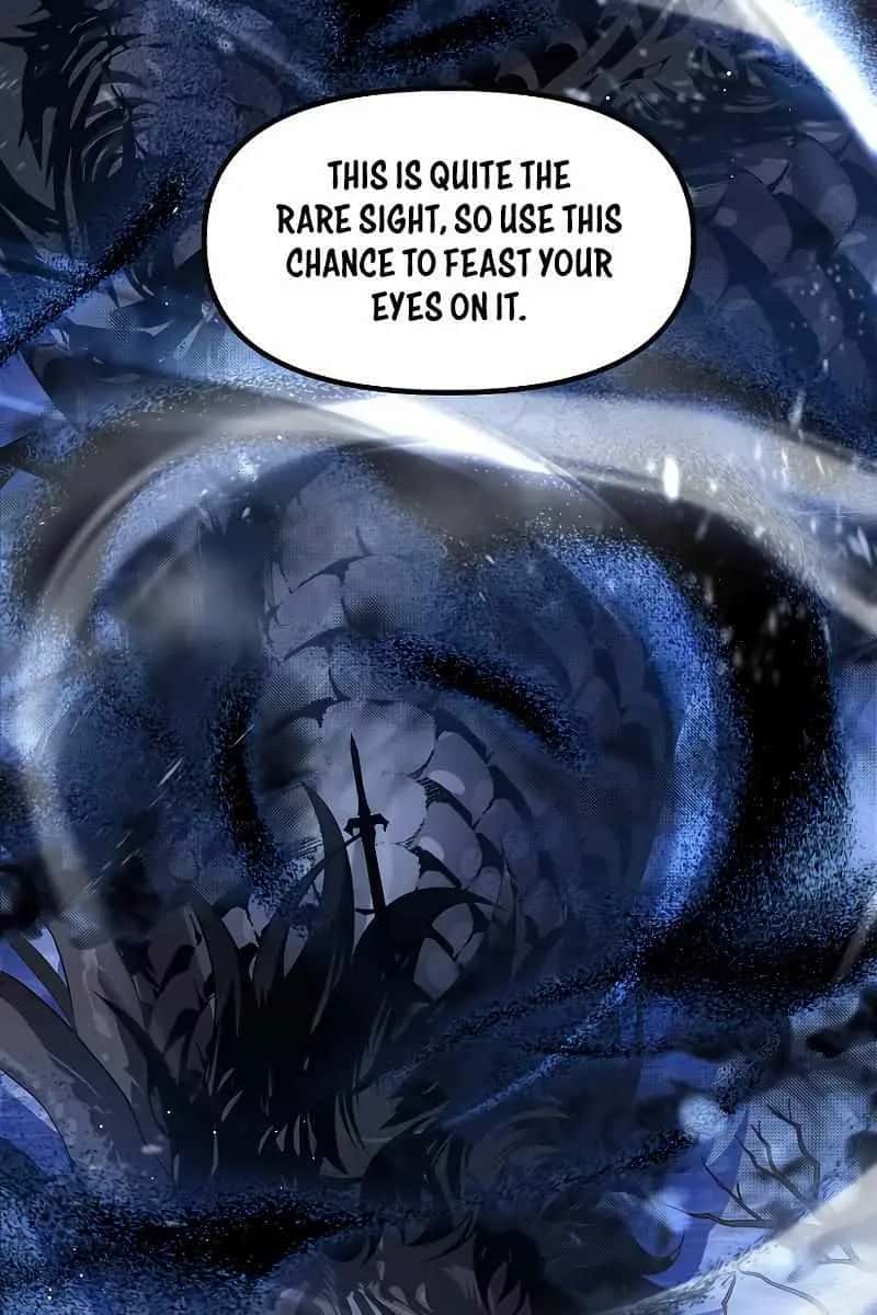 SSS Class Revival Hunter Chapter 81 Page 29