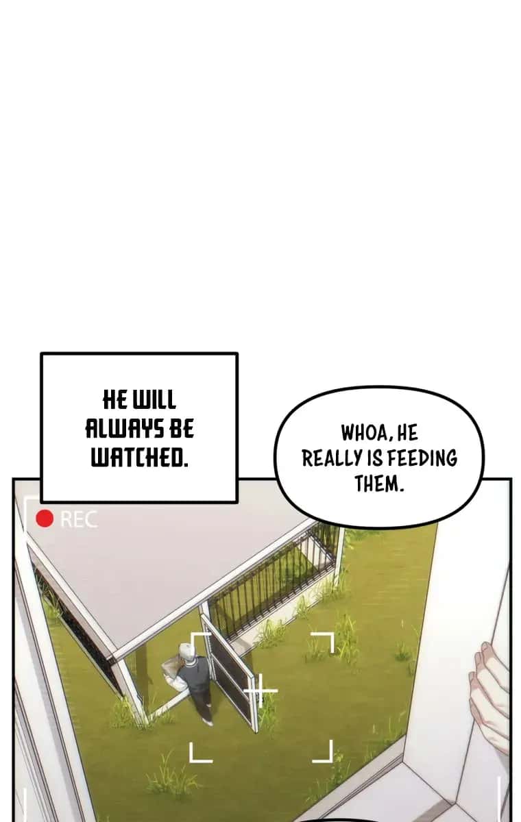 SSS Class Revival Hunter Chapter 135 Page 31