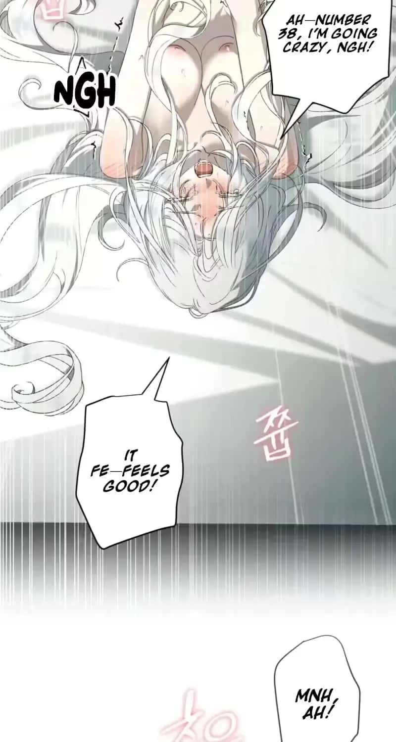 The Demon King Wants to Live in Peace Chapter 39 Page 19
