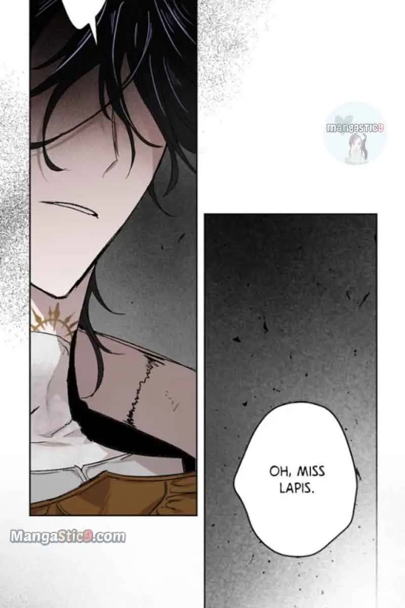 The Dark Lord's Confession Chapter 48 Page 47