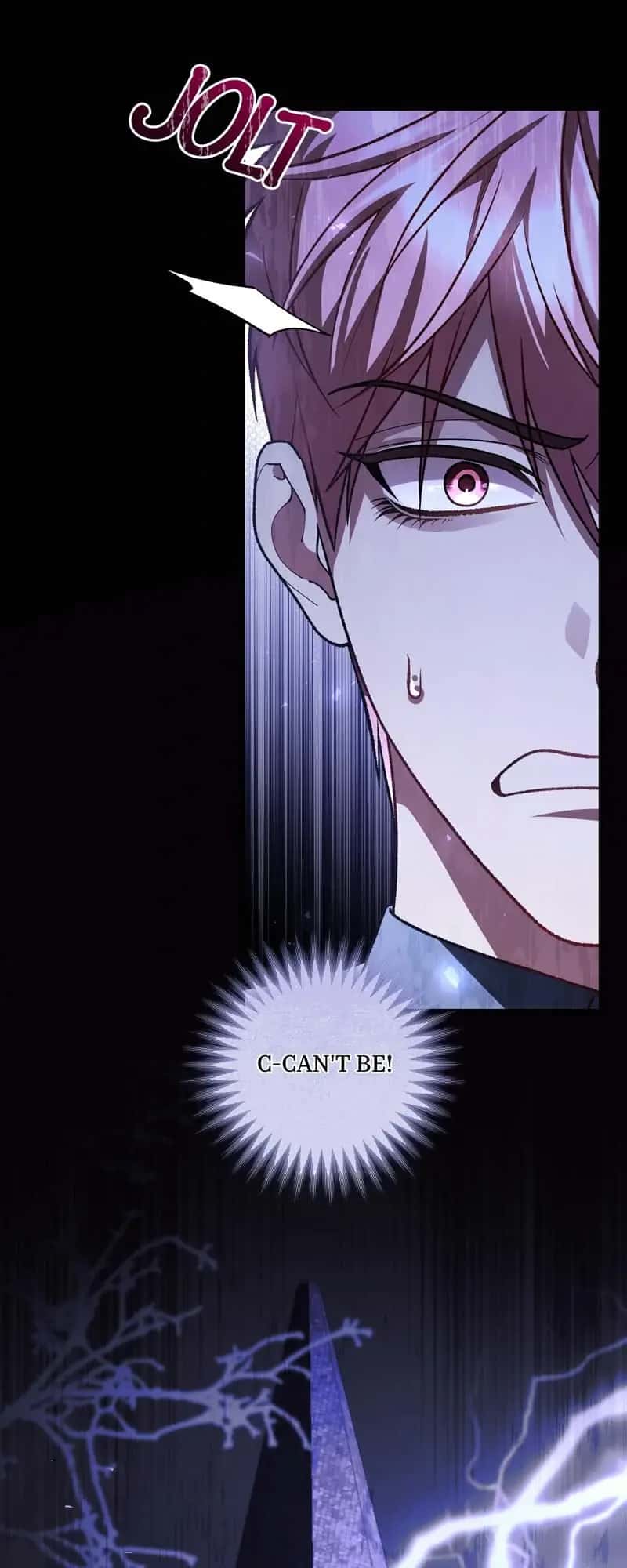 The Second Male Lead Is Actually a Girl Chapter 53 Page 25