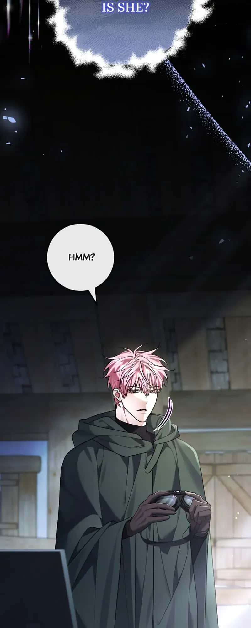 The Second Male Lead Is Actually a Girl Chapter 65 Page 10