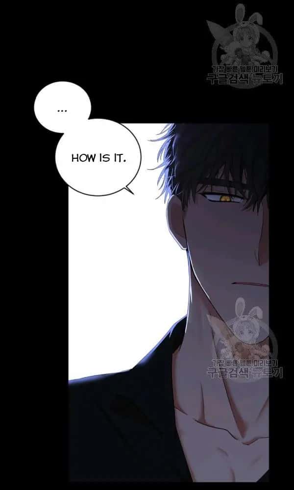 I Fell into a Reverse Harem Game Chapter 70 Page 27
